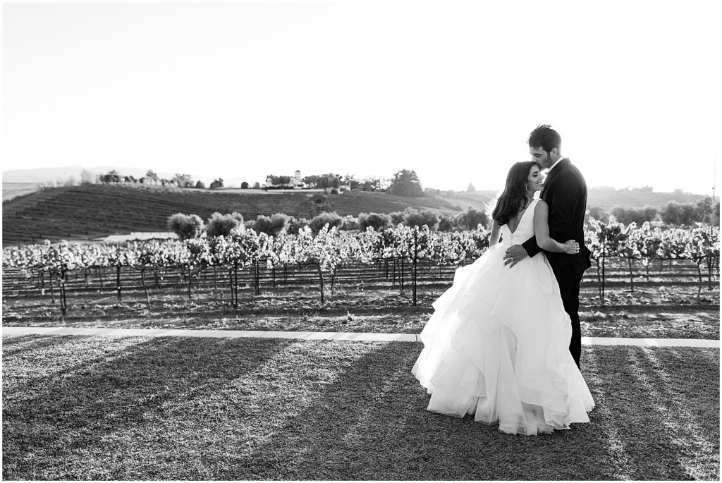 portrait of newlyweds standing in vineyard at sunset by film photographer AGS Photo Art