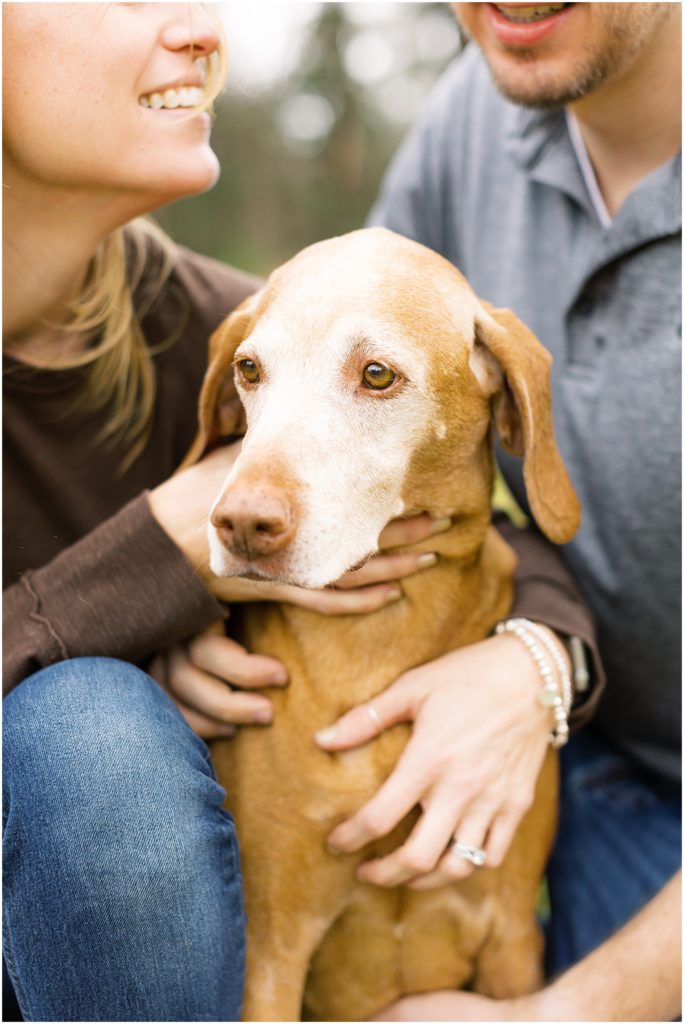 portrait of family dog by film photographer AGS Photo Art