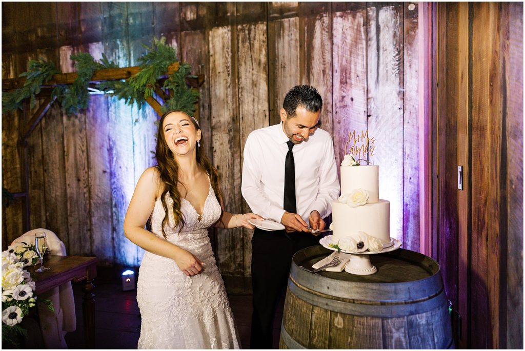 portrait of bride and groom cutting cake during reception by film photographer AGS Photo Art