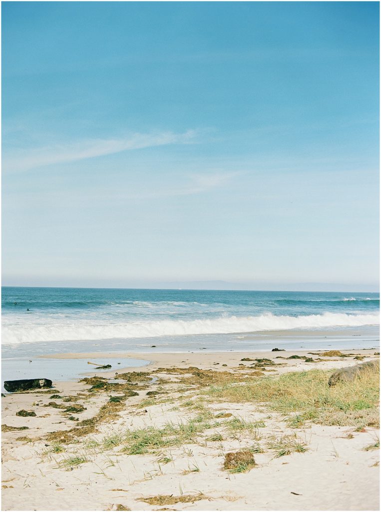 portrait of the ocean coast by film photographer AGS Photo Art