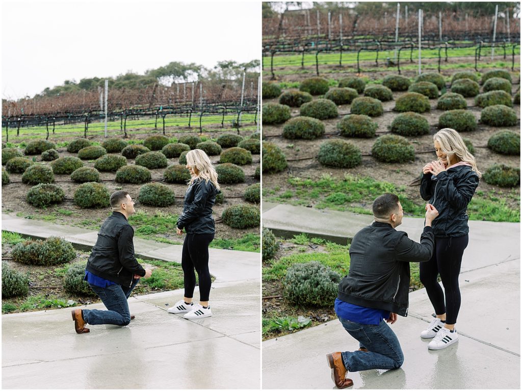 portrait of man kneeling to propose with ring in hand at the park by film photographer AGS Photo Art