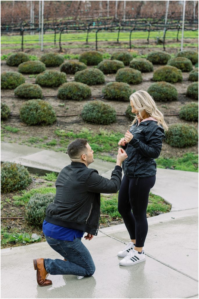 portrait of man kneeling to propose in the park by film photographer AGS Photo Art