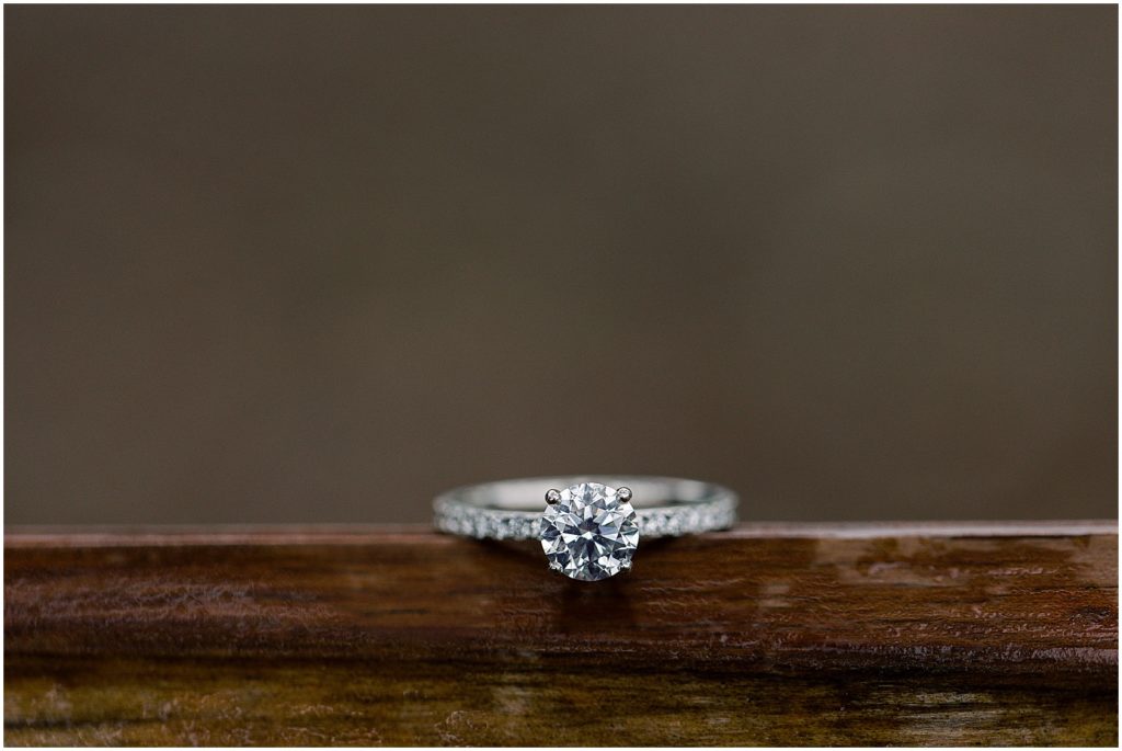 portrait of engagement ring on display by film photographer AGS Photo Art