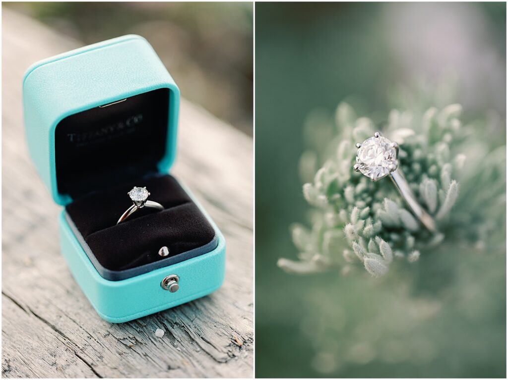 White gold diamond engagement ring from Tiffany & Co. in Carmel by the Sea