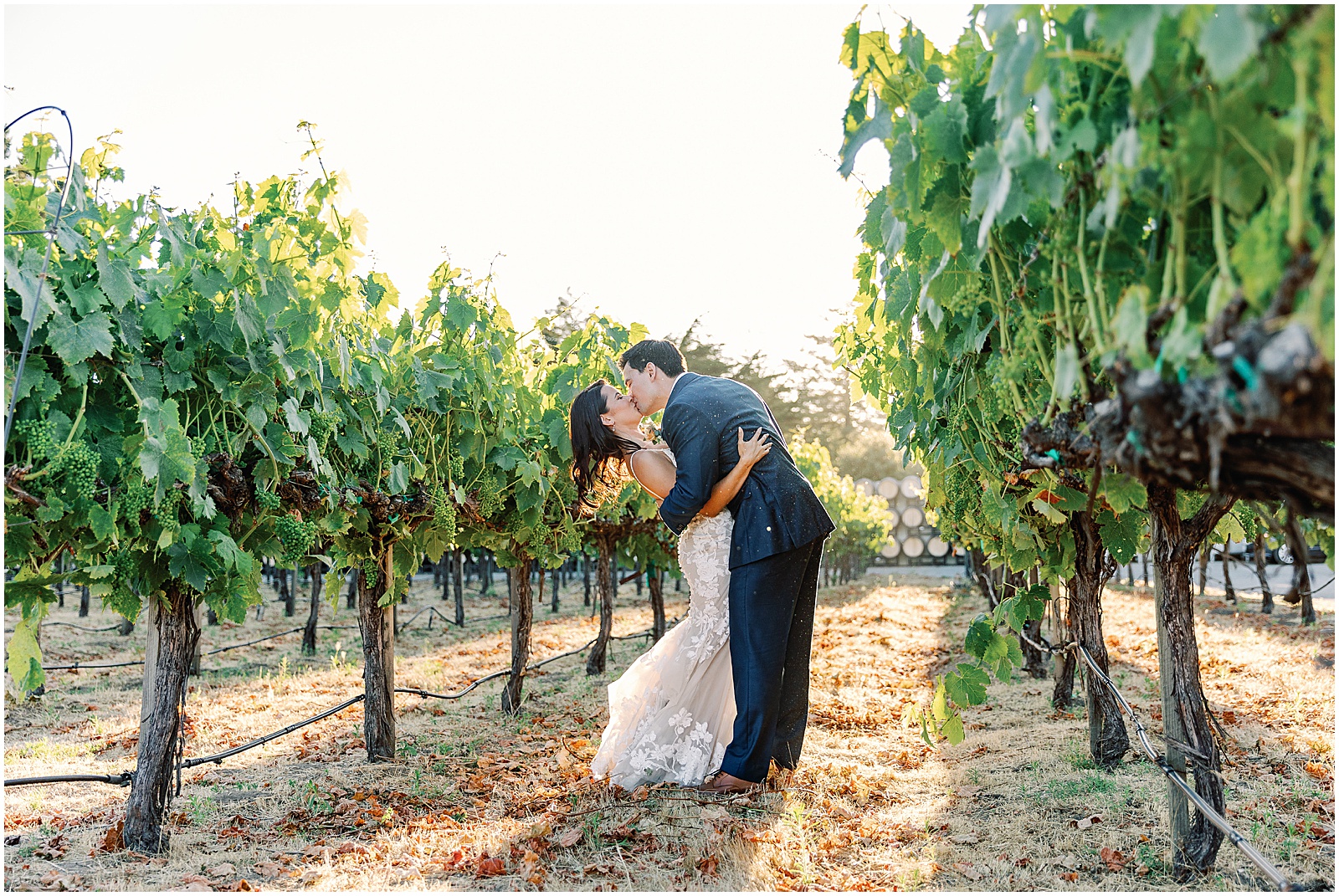 Newlyweds kissing in vineyards during Summer in California, by AGS Photo Art