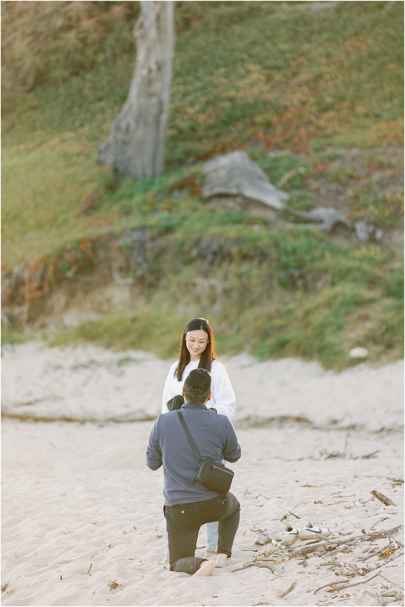Close up of the proposal on the Carmel coastline.