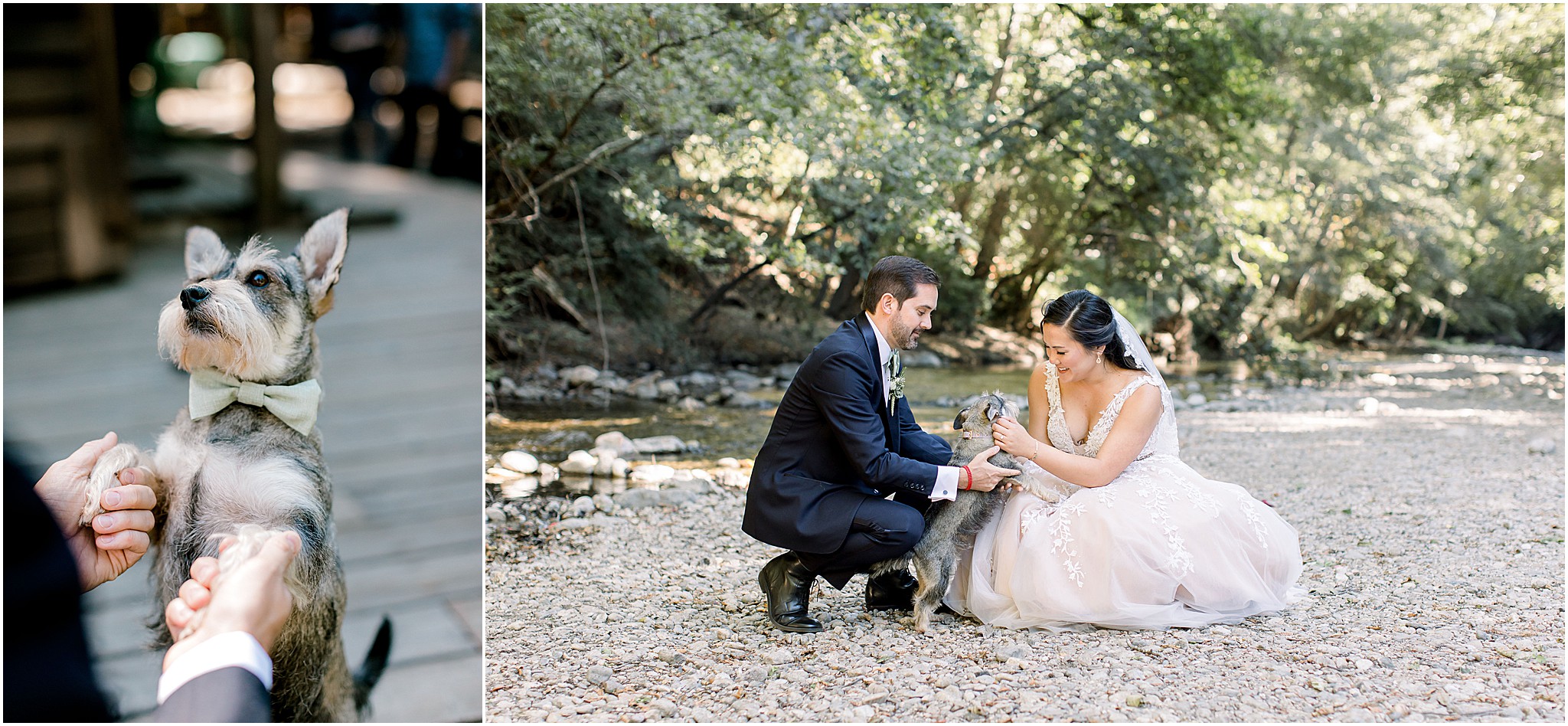 Bride and groom with their dog at Big Sur wedding venue