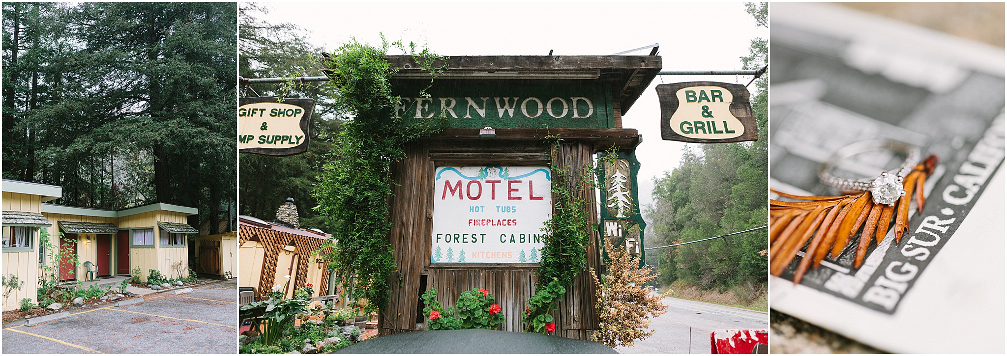 Rustic forest setting at Fernwood Resort surrounded by towering redwoods.