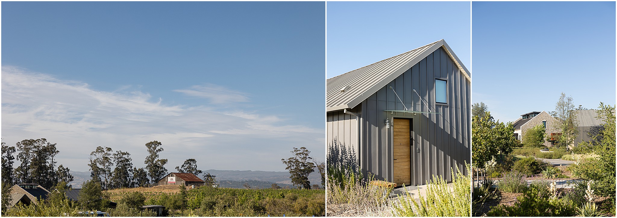 Expansive Sonoma countryside with grapevines, hills, and wedding buildings.