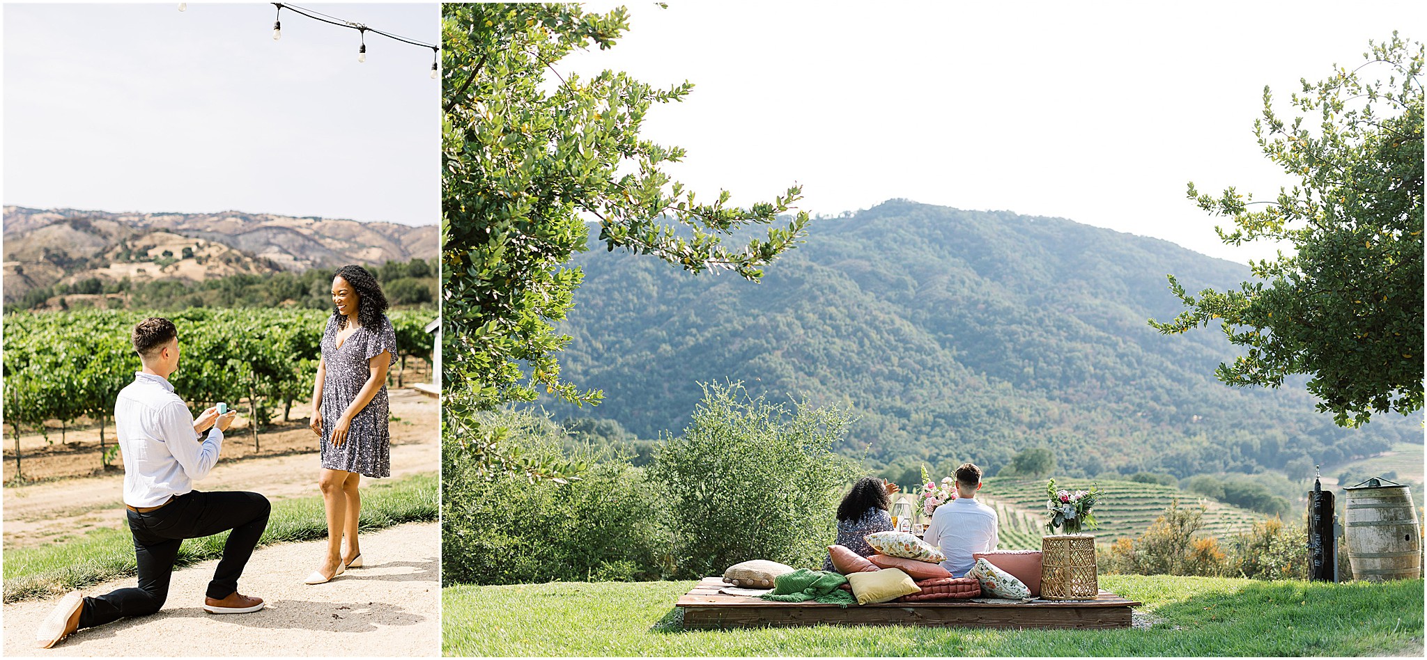 Marriage proposal overlooking vineyards followed by a romantic picnic with scenic mountain views.